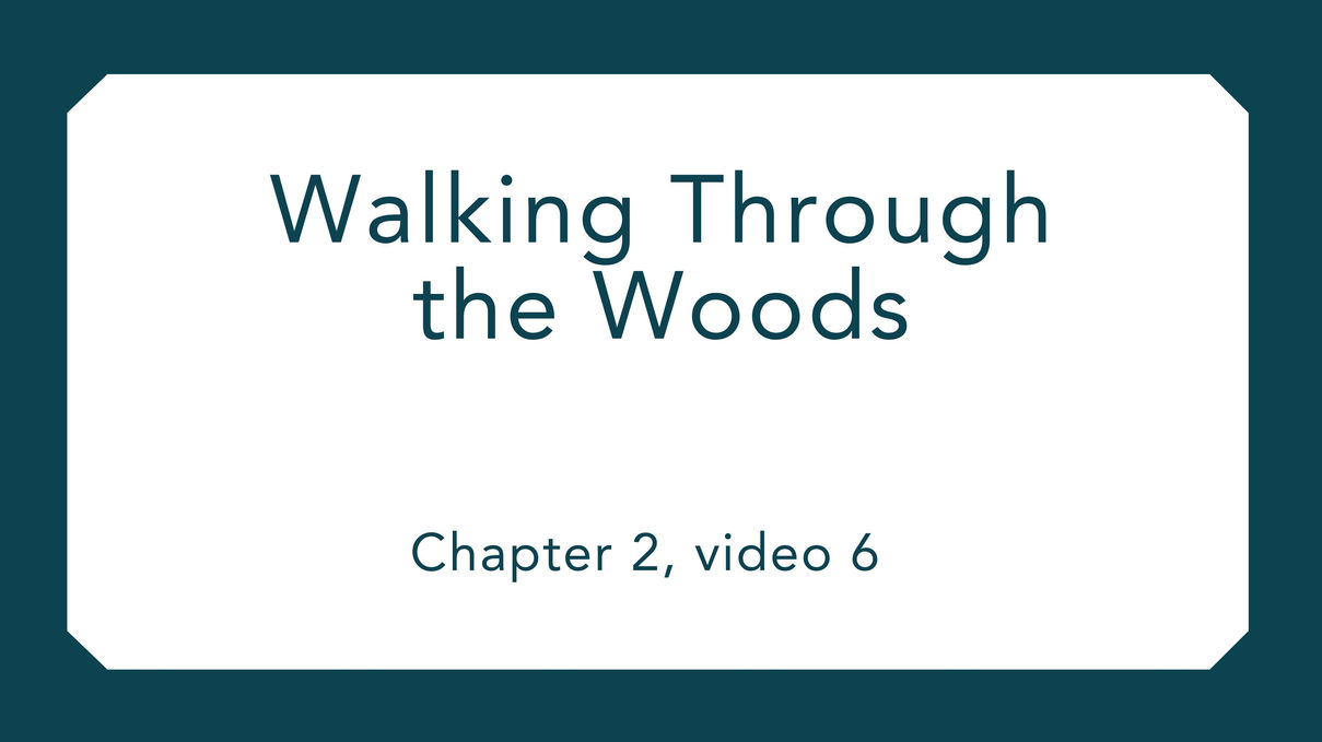 Walking through the Woods